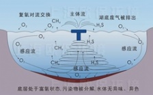 水中溶解氧测定原理