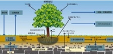 什么叫总有机碳TOC?