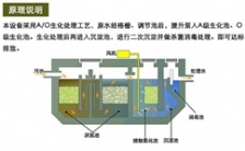 一体化污水设备在农村污水上的运用