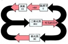 大气挥发性有机物在臭氧生成中的作用