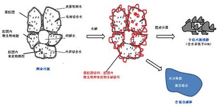 微生物蛋白提取技术