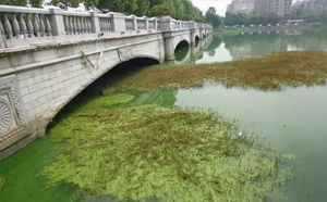 合肥市大蜀山森林公园南湖