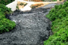  锰污染相关背景