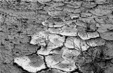  土壤重金属污染对人体的危害