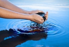  《生态环境损害赔偿制度改革方案》发布