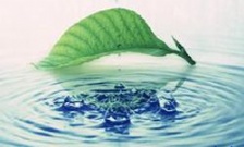  水质检测一次多少钱