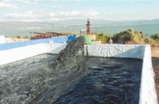  玉溪星云湖加快污染底泥疏挖，消除劣V类水质