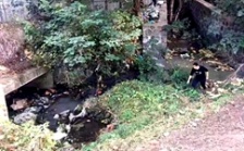  巡查人员深入探&ldquo;敌情&rdquo;