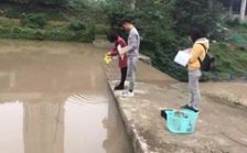  一图一故事丨&ldquo;冷酷又火热&rdquo;的双面伊人