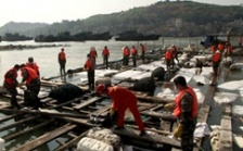  泉州市政府发布东港化学品泄漏事件处置情况