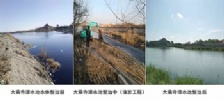  齐齐哈尔市：大乘寺滞水池多措并举 合力治污