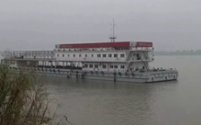  &ldquo;回头看&rdquo;典型案例通报（一）丨安庆市江豚自然保护区不断瘦身 &ldquo;水中大熊猫&rdquo;生境堪忧