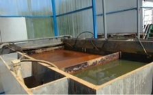  &ldquo;回头看&rdquo;典型案例通报（二）丨湖北鄂州葛店开发区敷衍整改 臭气扰民问题依然如故