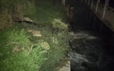  &ldquo;回头看&rdquo;典型案例通报（十五）丨 湖北荆州市排污囗&ldquo;一堵了之&rdquo; 造成生活污水倒灌街面 群众反映强烈