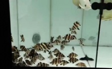  怎么调节水质硬度