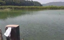  水产养殖水质检测标准，这五个方面让水质恢复清新