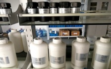  什么是氨氮总磷总氮？