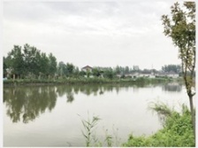  扬州农村投放微动力污水处理设备 26个小盒子&ldquo;洗&rdquo;净全村污水