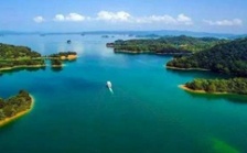  生态环境部：水源地专项督查第四批环境违法问题42个