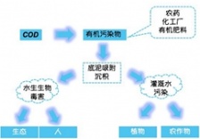  在线水质监测知识篇-化学需氧量COD