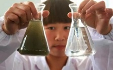  在没有家用水质检测仪的情况下如何判断净水器水质状况