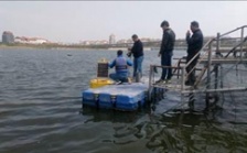  小型浮标在线监测系统