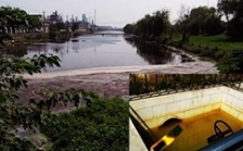  江苏泰兴短期内连遭生态环境部严批后续：市委副书记等5人被问责