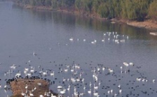  生态环境部召开2018年上半年水环境质量达标滞后地区工作调度会