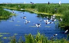  IPBES全球评估第三次作者会在德国召开