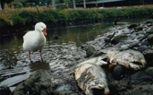  江苏省废水污染物在线监测仪器与数采仪通讯协议规范