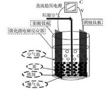  废水处理新技术铁碳微电解法的工艺分析