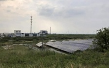  江苏海安市违规撤销沿海防护林和滩涂县级自然保护区实施开发建设