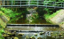  河南开封饮用水水源地环境问题整治工作不严不实