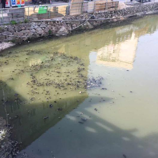  秋冬交替，污泥又到了换季膨胀的季节