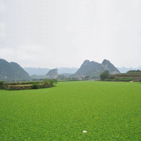  气温下降，我的氨氮超标怎么办