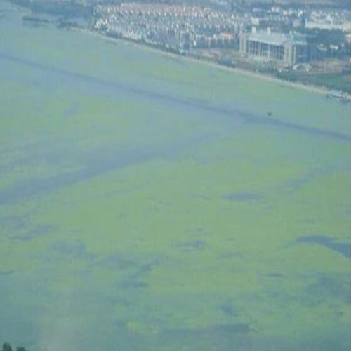  cod对水质和环境的影响和危害