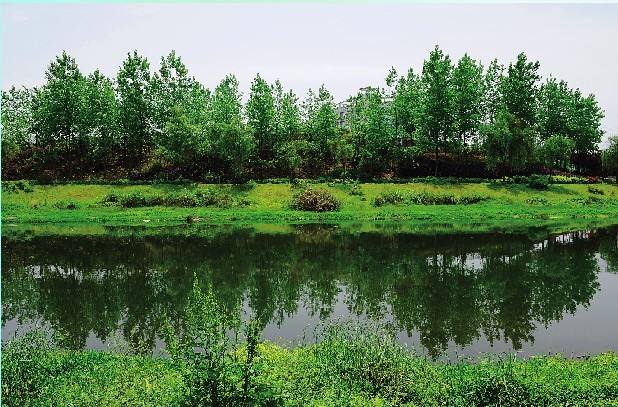  小微型水质监测站如何选用水质自动采样器？