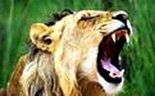  环保雄师还待磨&ldquo;牙&rdquo;