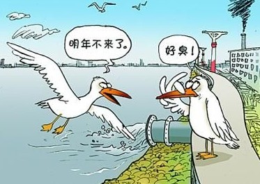  国家饮用水标准及水质合格率是多少？