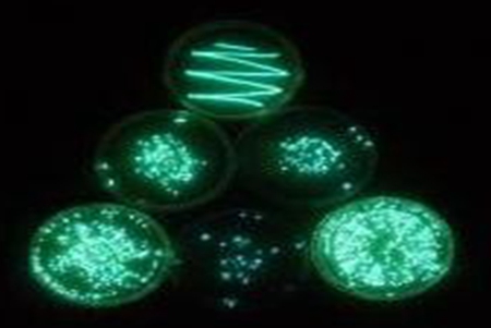 水质生物毒性如何检测