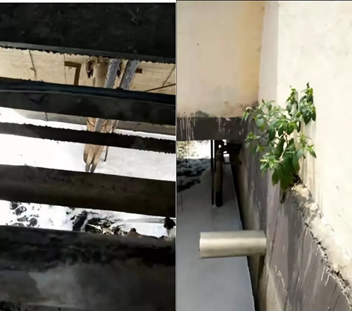 信阳市生活垃圾处理问题突出 制作虚假台账应对督察