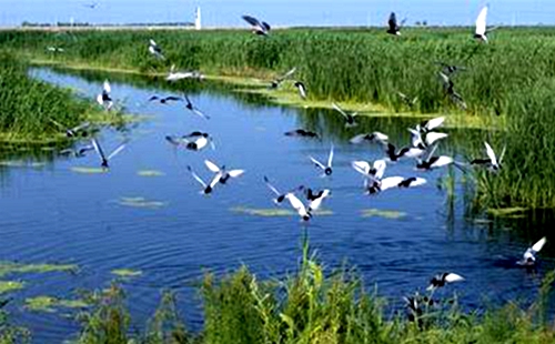 IPBES全球评估第三次作者会在德国召开