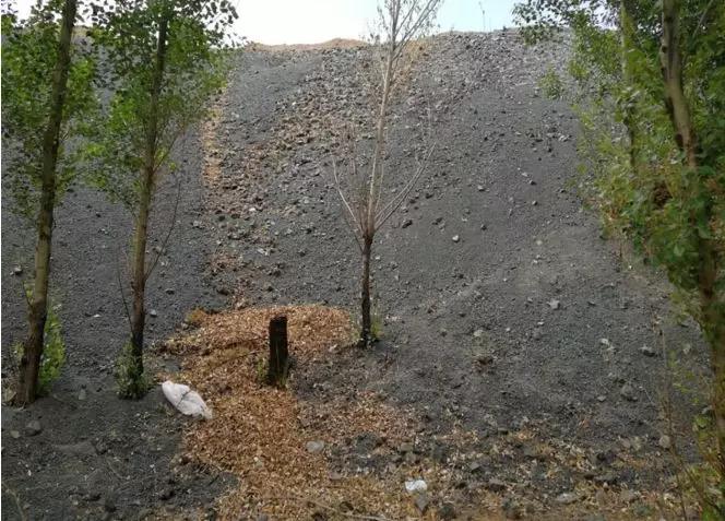 内蒙古自治区乌兰察布市工业废渣随意倾倒问题突出