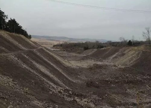 吉林省四平市二龙山水库水源保护区3.7万株生态涵养林被砍伐