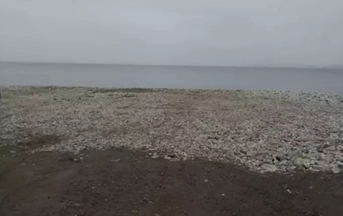 吉林省四平市二龙山水库水源保护区3.7万株生态涵养林被砍伐