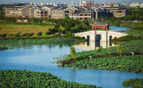 从&ldquo;优环境&rdquo;到&ldquo;强产业&rdquo;再到&ldquo;惠民生&rdquo; 东莞市麻涌镇走通绿色发展&ldquo;闭环&rdquo;